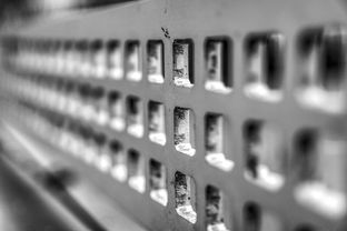 九游网页版官网-青少年体质监测结果区域对比研究，青少年健康体质检测中心